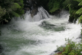 Okere Falls - Rotorua