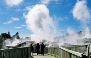 Geothermal Valley - Te Whakarewarewa Te Puia (Rotorua)
