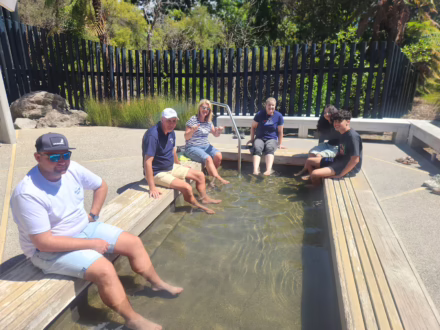 rotorua tours from tauranga